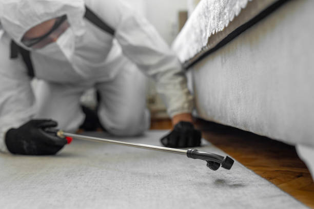 Professional Mosquito Control technician working in Meridian Village, CO