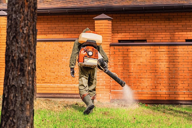 Trusted Mosquito Control service in Meridian Village, CO - Nex Pest Control